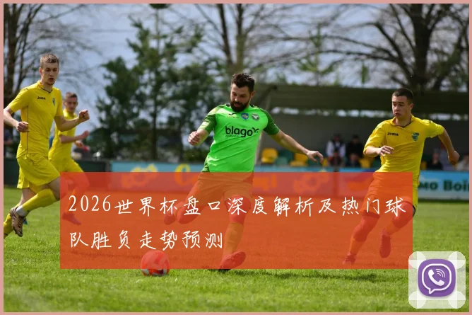 2026世界杯盘口深度解析及热门球队胜负走势预测