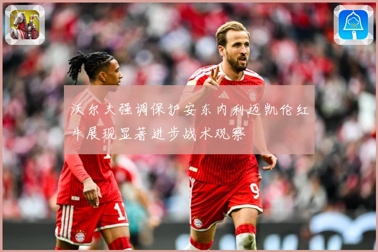 沃尔夫强调保护安东内利迈凯伦红牛展现显著进步战术观察