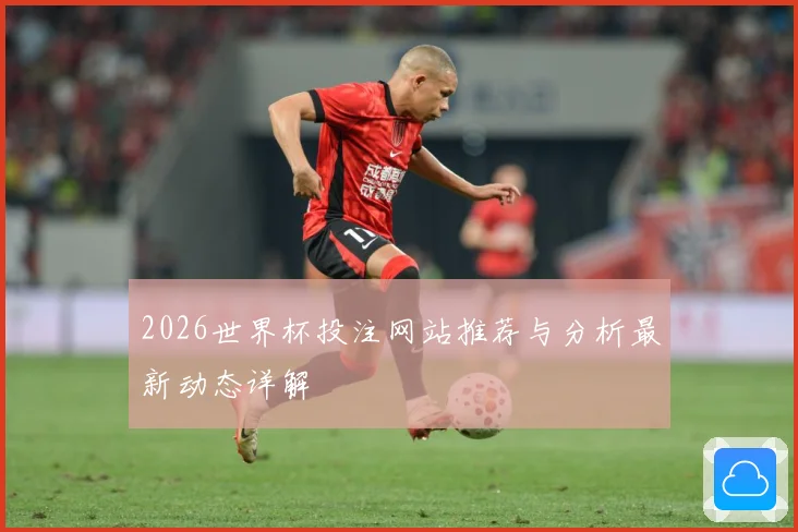 2026世界杯投注网站推荐与分析最新动态详解
