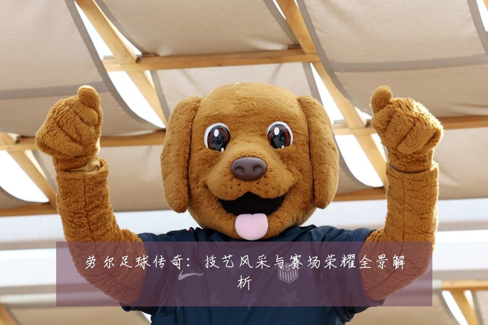 劳尔足球传奇：技艺风采与赛场荣耀全景解析