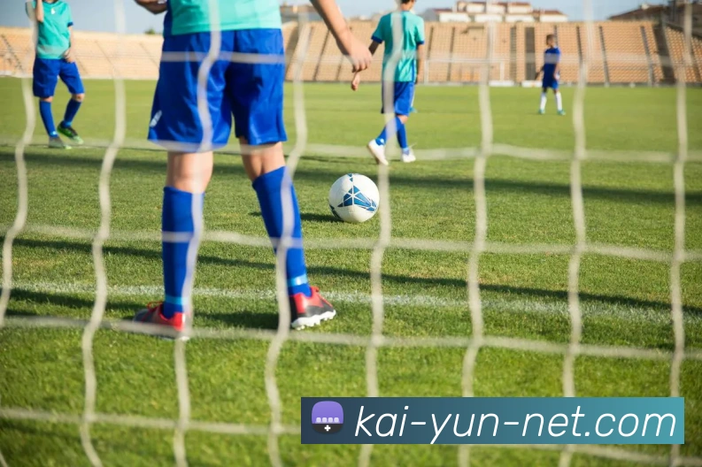 开云平台展示图