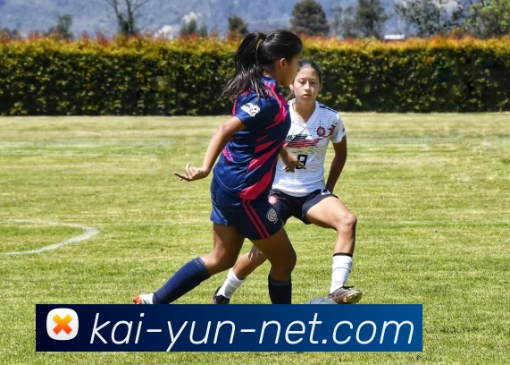 开云体育引领全球运动潮流创新与未来发展趋势解析