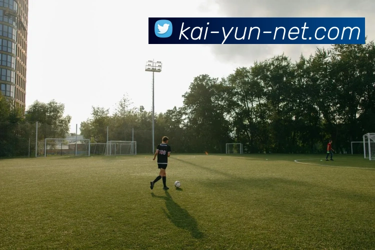 开云官网全站App